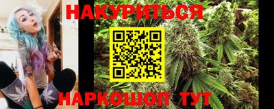 крисы Малгобек