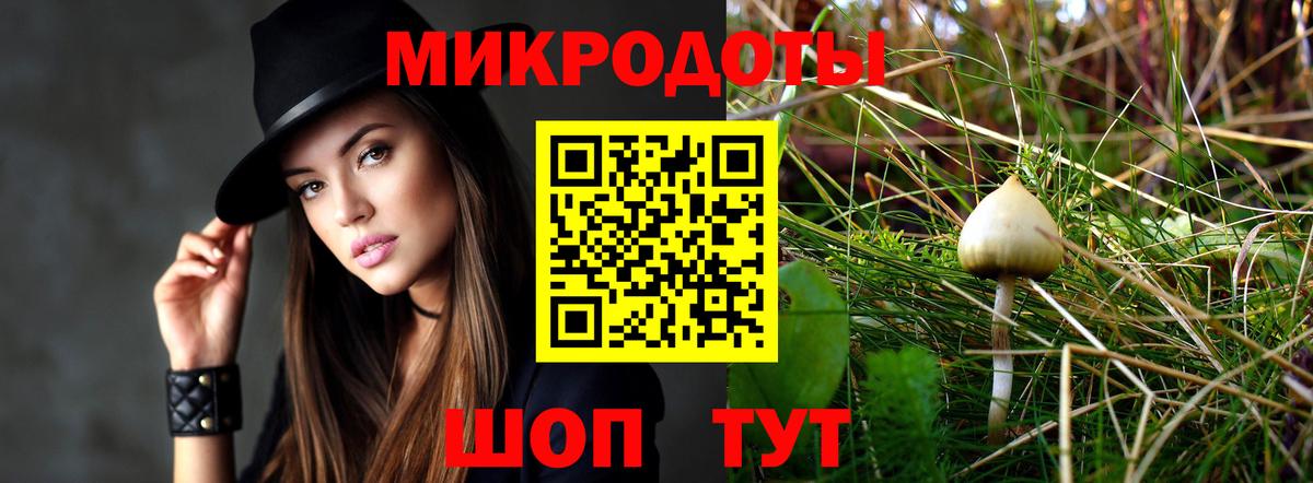 Галлюциногенные грибы Magic Shrooms  Вход с VPN  Вичуга 