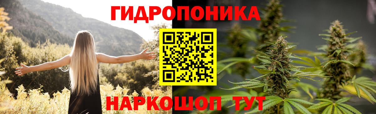 Бошки Шишки марихуана  МАРИХУАНА марихуана  Вичуга  Вход с VPN 